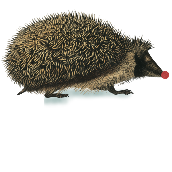 herisson