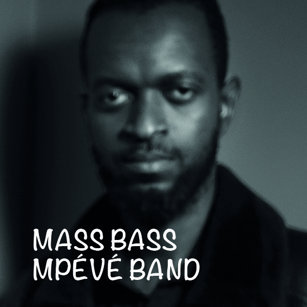 17_MASSBASS_Plan de travail 1