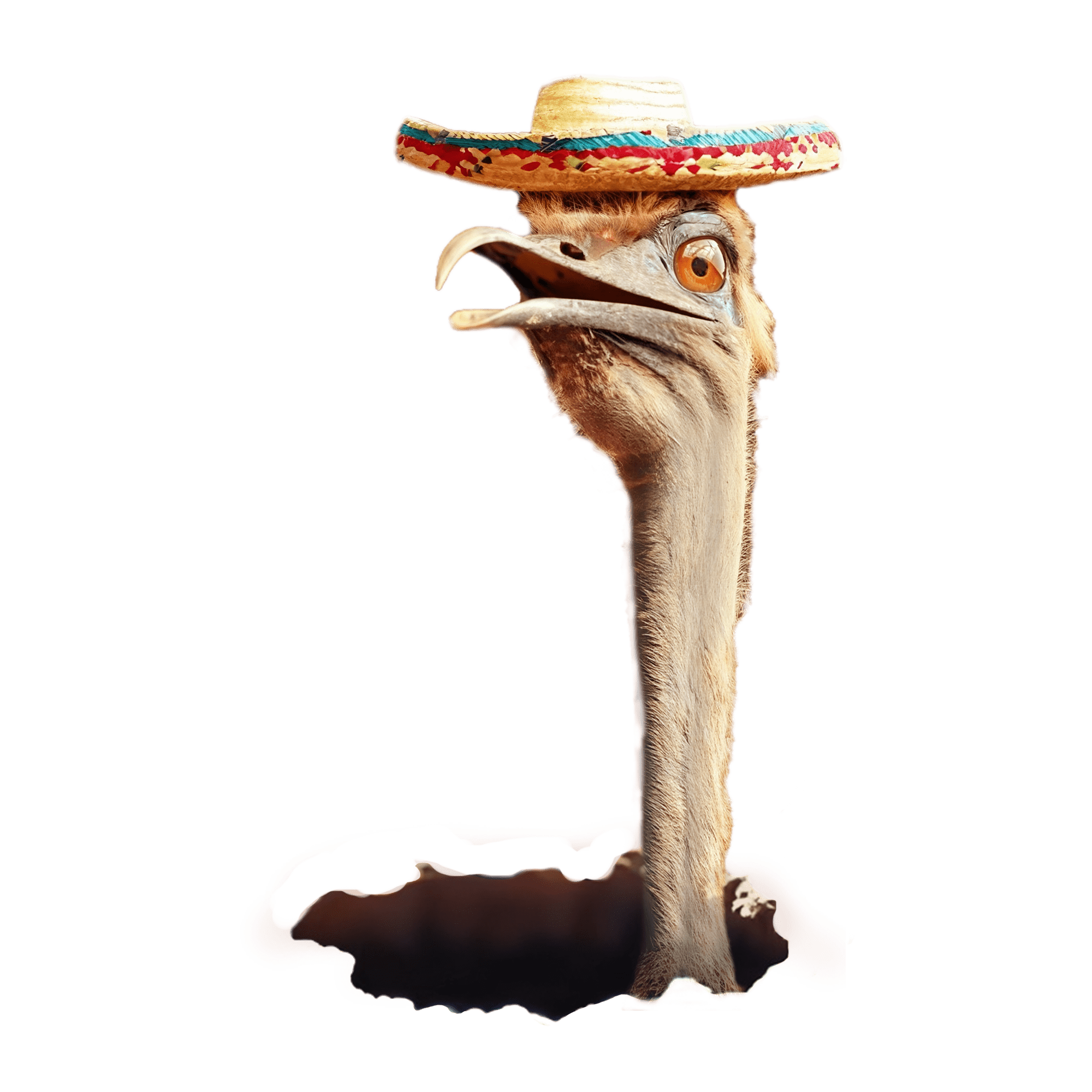 2023-06-youle-autruche-min
